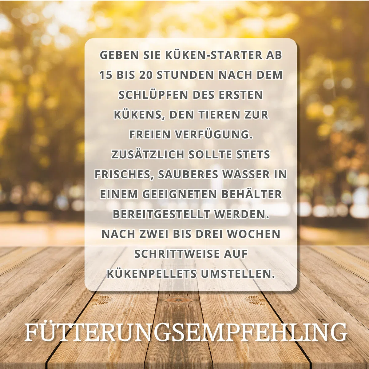 Meine Hennen Kükenstarter 3,5 kg Kükenfutter Crumble Alleinfuttermittel für Hühnerküke, proteinreich mit Minikrebsen und Gammarus ideales Aufzuchtfutter Starterfutter Küken Starter für Kükenaufzucht