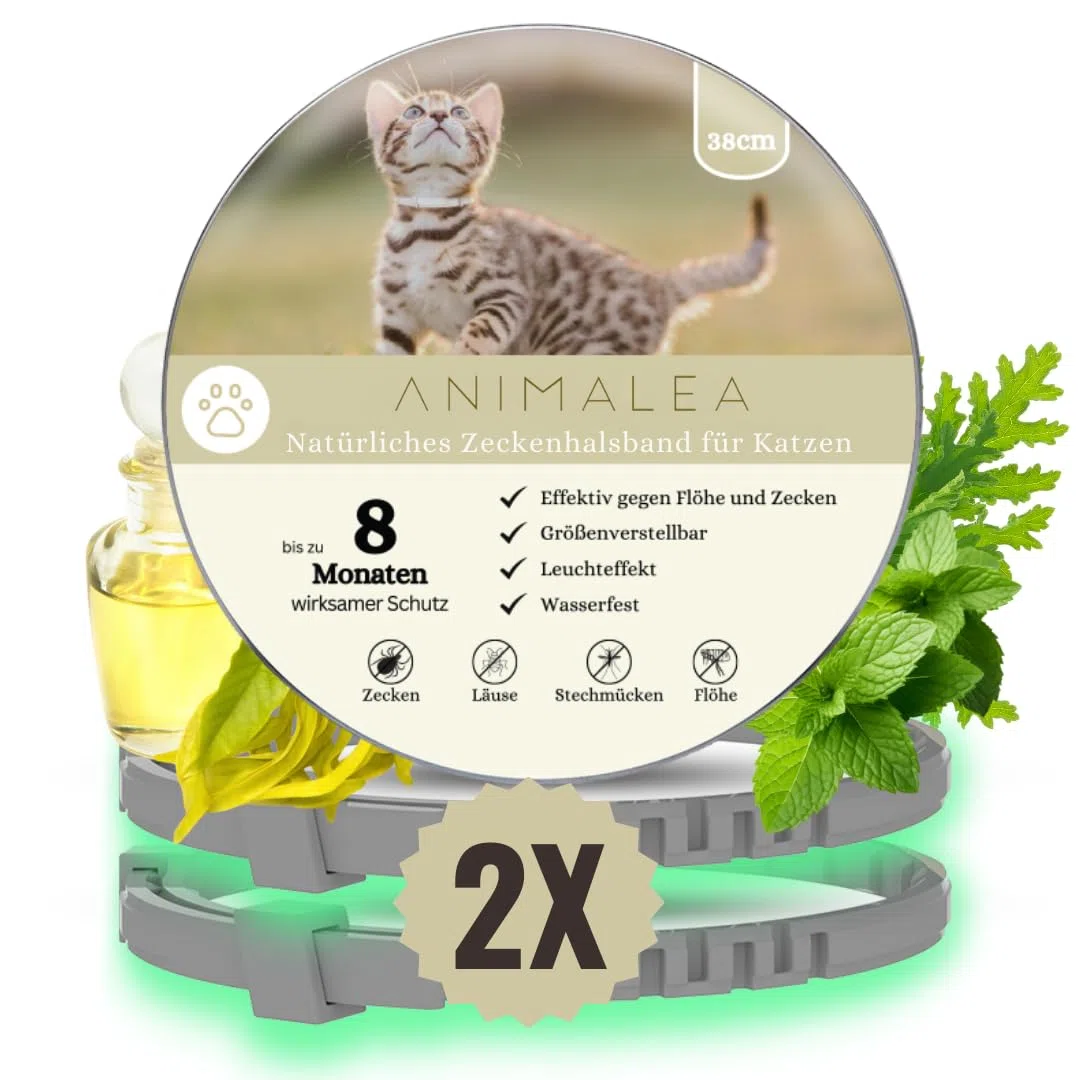 Zeckenhalsband für Katzen (2 Stück) - Länge 38cm - wirksamer Schutz gegen Zecken und Flöhe - wasserfest und Leuchtend bis zu 8 Monaten Zeckenschutz mit 100% natürlichen Inhaltsstoffen