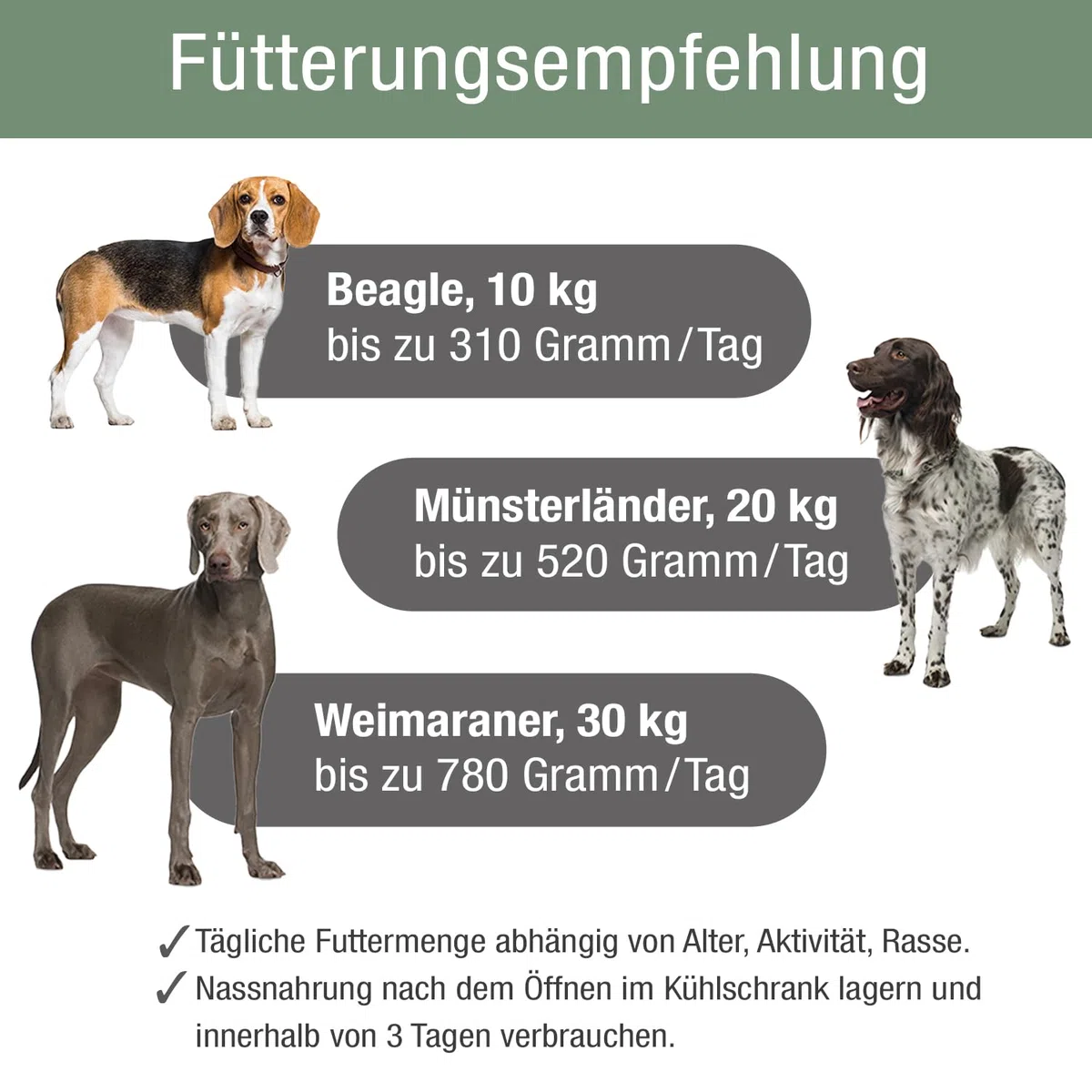 PLATINUM - Hundenahrung Menu Adult Chicken aus Fleischsaftgarung - 12 x 375 g Hundenassfutter nährstoffreich wie Barf - besonders schmackhaft für kleine und große Hunde - BPA-frei, in DE geprüft