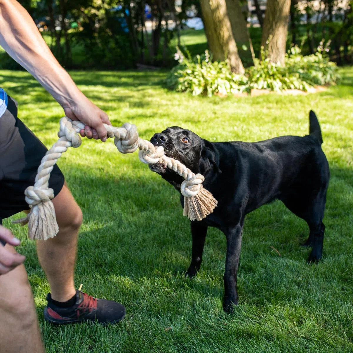 Fida Hundespielzeug aus Seil für aggressive Kauer, interaktives, robustes Hundespielzeug für mittelgroße und große Hunde, robustes gedrehtes Seilspielzeug mit 5 Knoten