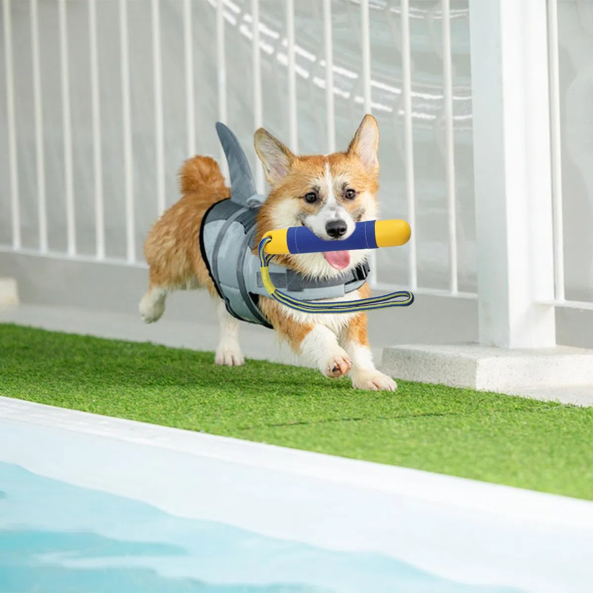 Hundespielzeug Wasserspielzeug Hund 2 Stück Schwimm Spielzeug für Große Hunde mit Nylon Rope Schwimm Spielzeug für Hunde Interaktives Hundespielzeug Schwimmend Hundetraining