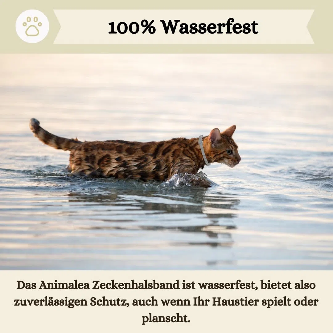 Zeckenhalsband für Katzen (2 Stück) - Länge 38cm - wirksamer Schutz gegen Zecken und Flöhe - wasserfest und Leuchtend bis zu 8 Monaten Zeckenschutz mit 100% natürlichen Inhaltsstoffen