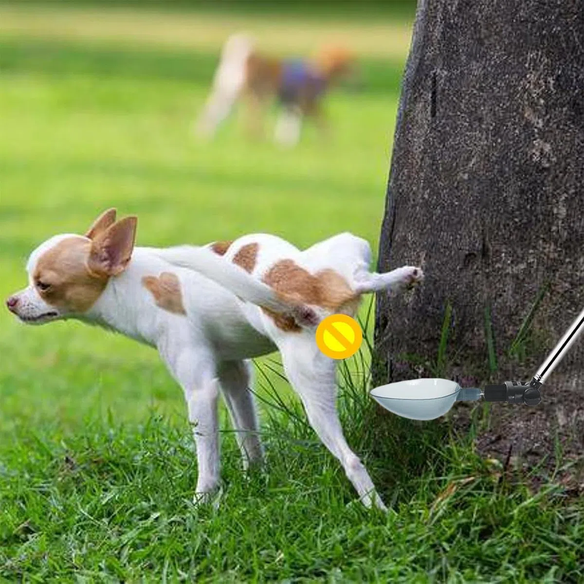 Urinsammler für Hunde, Urinstäbchen für Hunde | Teleskopischer Urinsammler für Haustiere | Teleskop-Urin-Auffangbehälter für Hunde mit langem Griff,