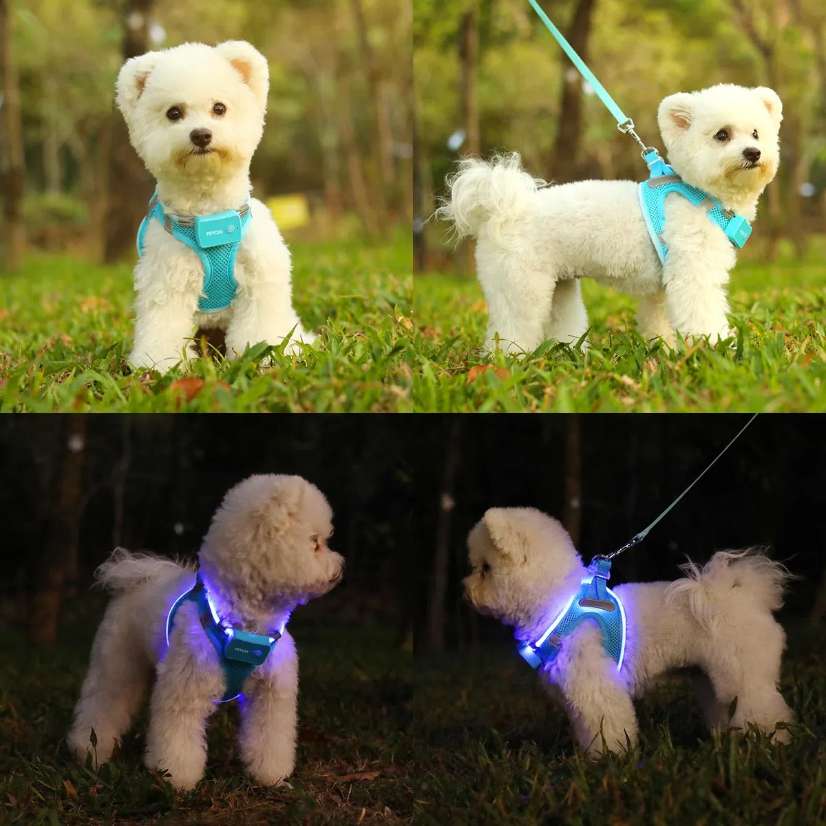 Leuchtend Hundegeschirr LED Aufladbar - Leuchtgeschirr Leuchtendes & Reflektierendes für Welpe Klein Mittlere Hund, Brustgeschirr Hundegeschirr, Atmungsaktiv Leucht Geschirr (Blau, Small)