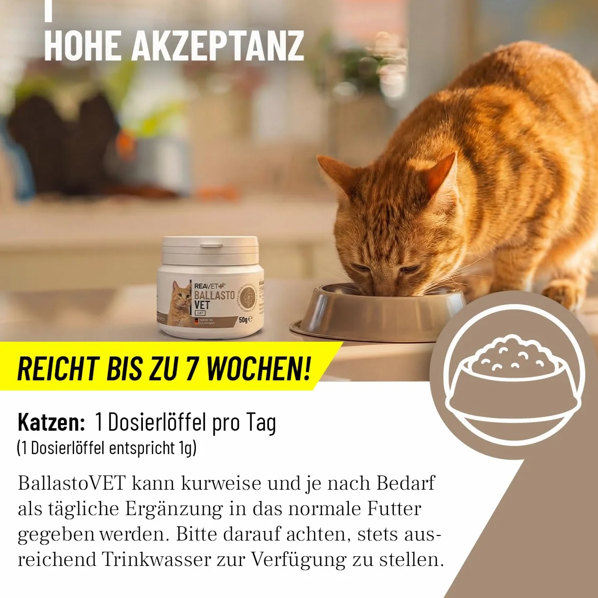 ReaVET BallastoVET für Katzen – Natürliche Ballaststoffe zur Unterstützung bei Verstopfungsneigung & Haarballen I Fördert Normale Kotkonsistenz & Darmfunktion I Sehr ergiebig I 50 g