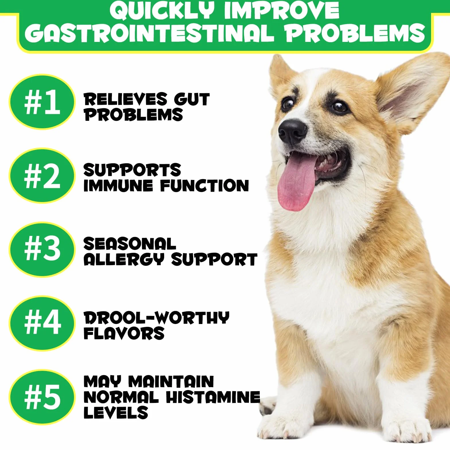 Probiotische Kautabletten für Hunde, Probiotika Hund Darmgesundheit, Hund Darmflora Aufbauen, Magen Darmflora Hunde│Allergien, Hefe Gleichgewicht│Immunsystem und die allgemeine Gesundheit unterstützt