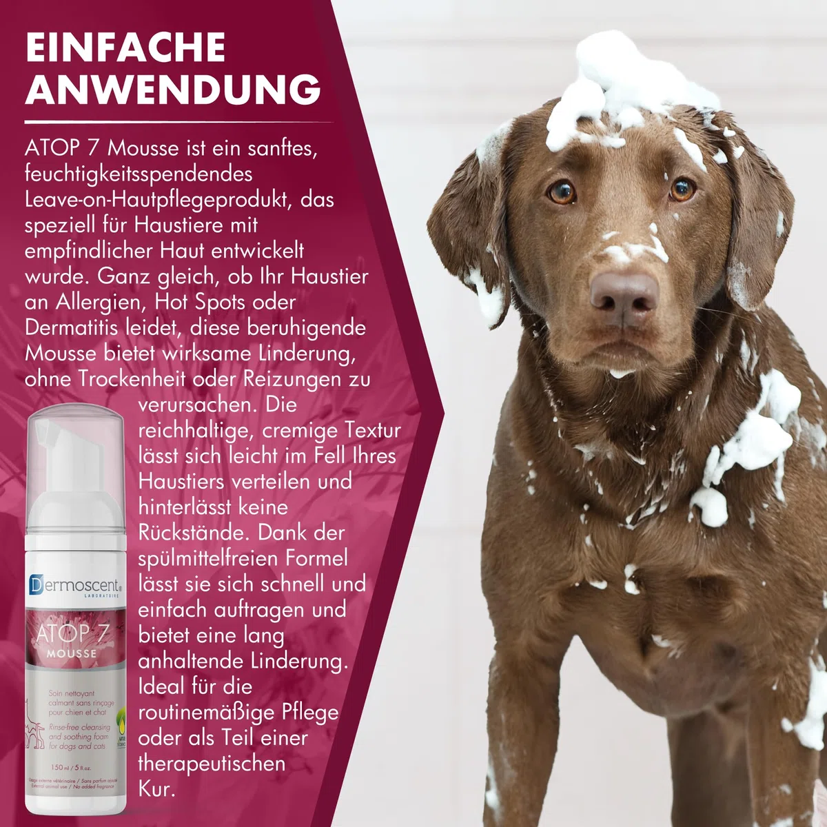 Trockenshampoo für Hunde und Katzen | Beruhigender Reinigungsschaum bei Juckreiz und Hautirritationen | Feuchtigkeitsspendende Pflege mit Omega 3 & 6 | ATOP 7 Mousse von Dermoscent