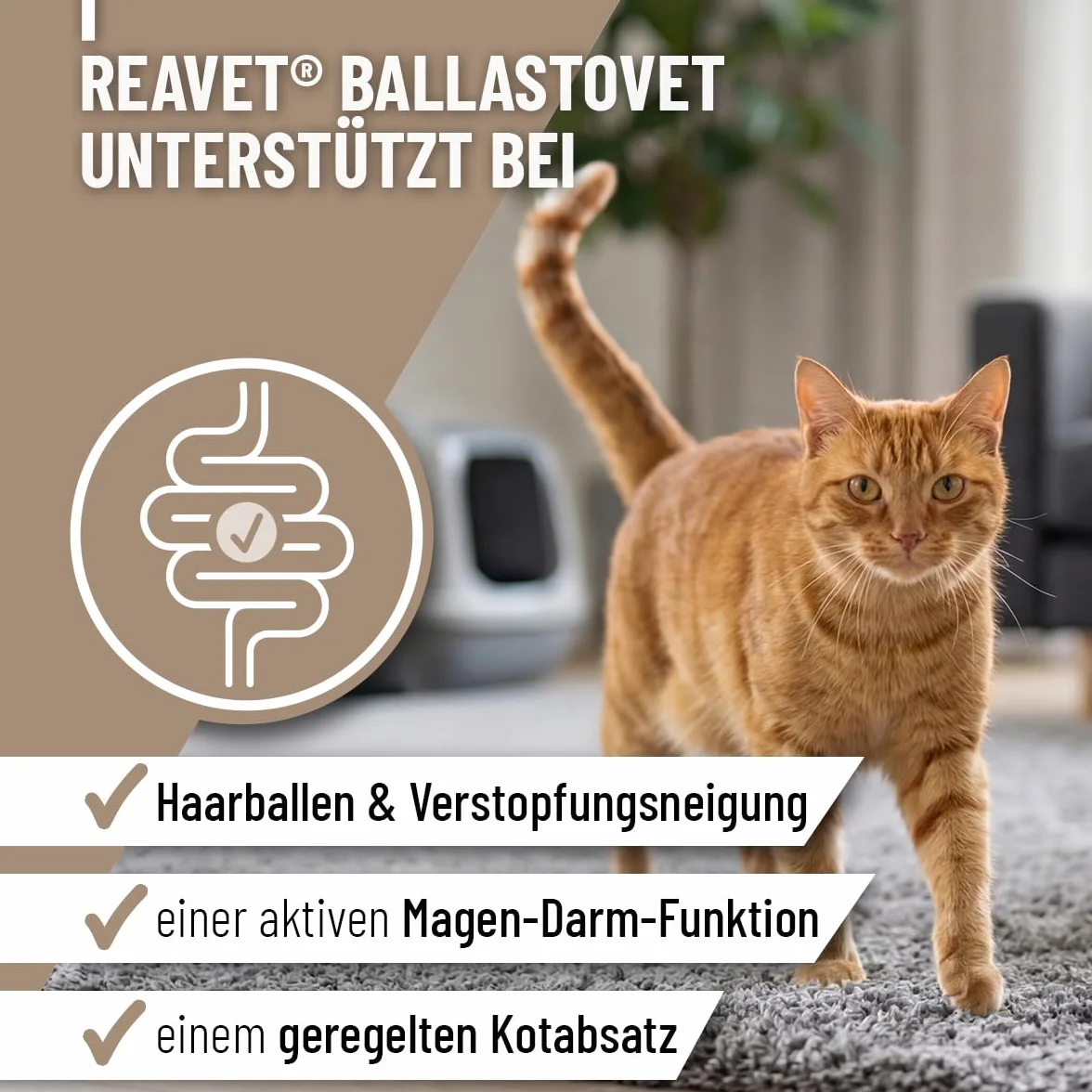 ReaVET BallastoVET für Katzen – Natürliche Ballaststoffe zur Unterstützung bei Verstopfungsneigung & Haarballen I Fördert Normale Kotkonsistenz & Darmfunktion I Sehr ergiebig I 50 g