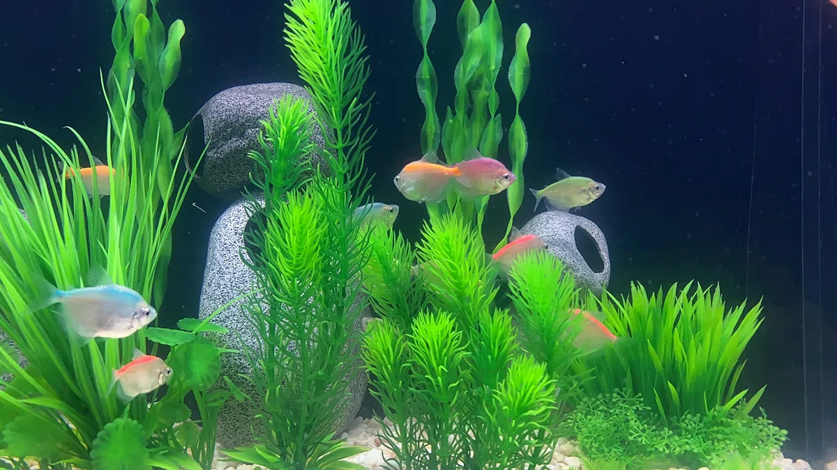 18 STÜCKE künstliche Aquarium alle grünen Pflanzen Set, künstliche Kunststoffpflanzen gefälschte Wasserpflanzen künstliche Fisch Tank Pflanzen für Aquarium Dekorationen