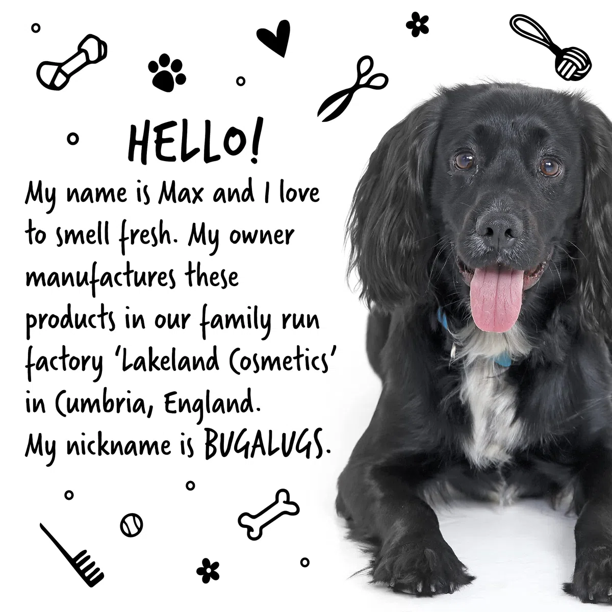 Bugalugs Deodorant für Hunde, 200 ml, Haferflocken und Aloe Vera, neutralisiert Gerüche und beruhigt die Haut, ohne Alkohol und Parabene, ideal für den täglichen Gebrauch oder zwischen Bädern mit