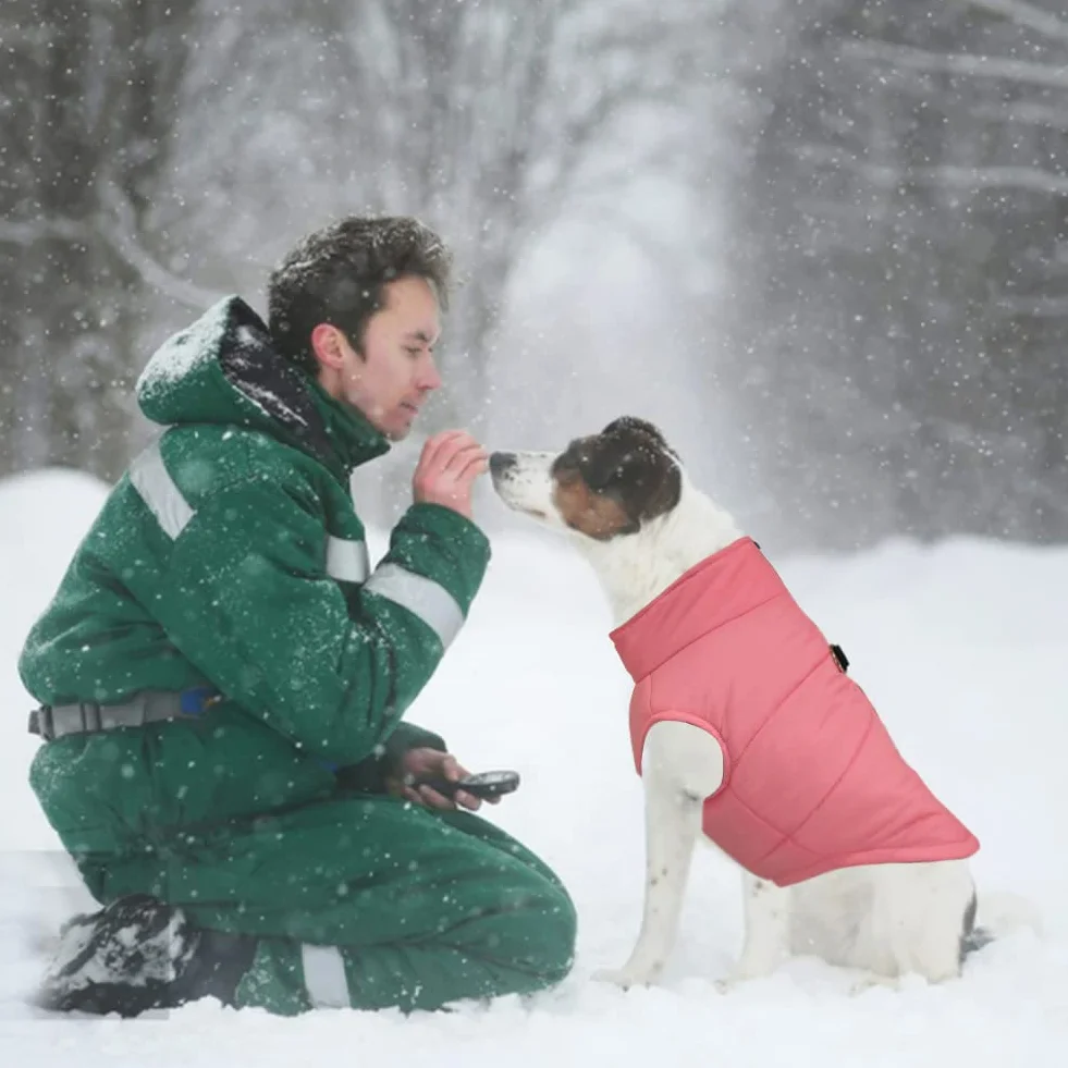FEimaX Hundejacke Hundemantel wasserdichte Hunde Winter Warm Mantel für Kleine Mittlere Große Hunde Regenmantel Welpen Gepolstert Puffer Weste Haustier Kleidung