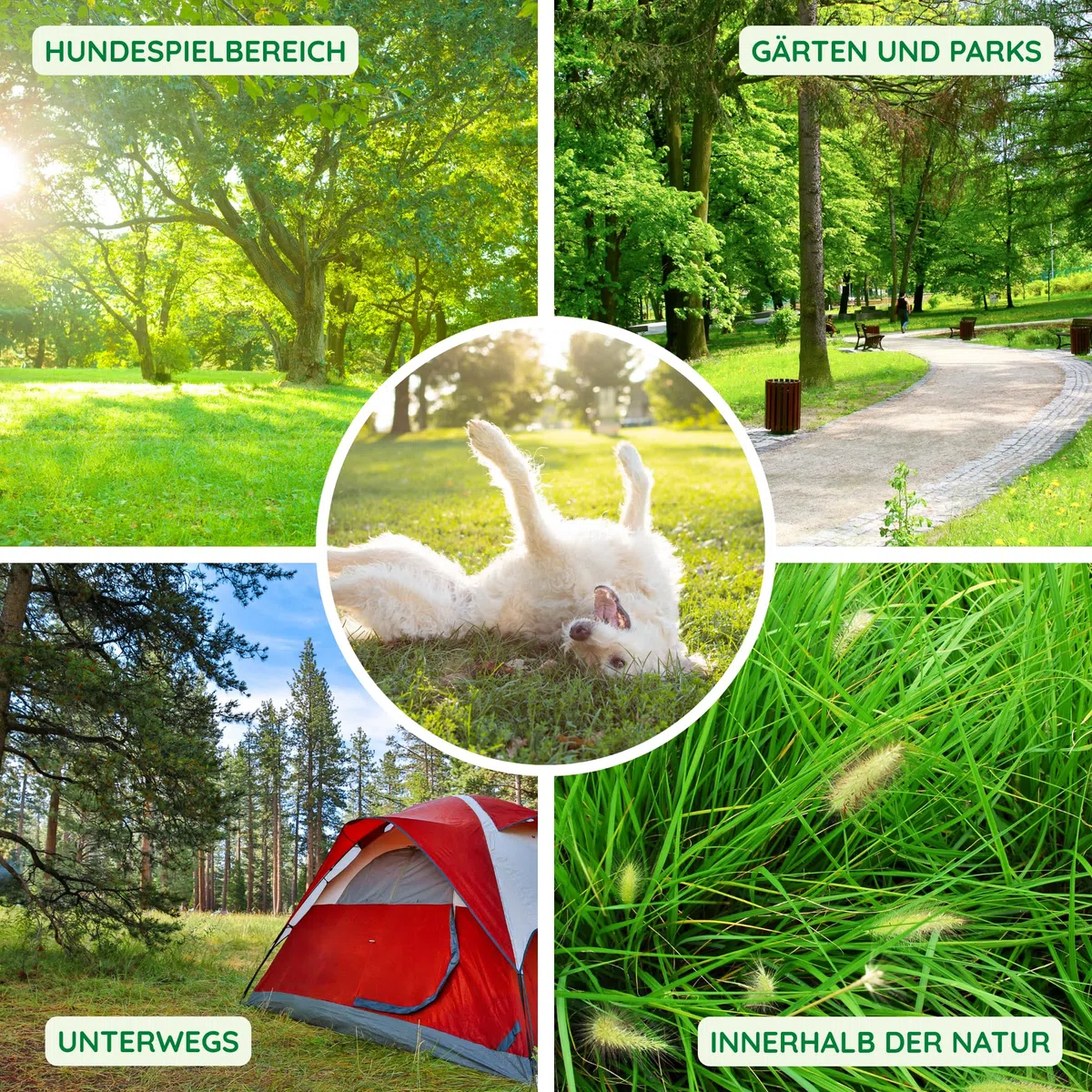 Gardemia Neemöl für Hunde und Katzen Spray 750ml | Natürliche Fellpflege mit den bekannten Eigenschaften des Neemöls | Angenehmer Duft | Spaziergänge, Outdoor & Indoor | Grooming | Für Deutschland