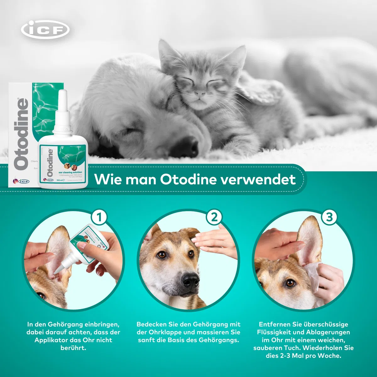Otodine Ohrenreiniger Hund, Hund Ohrentropfen stoppen Ohren Entzündungen und Juckreiz, Haustier Ohrreiniger für Hunde und Katzen, Hundeohrreinigungslösung, Hundeohrschmalz, Schmutz, Geruchsentferner