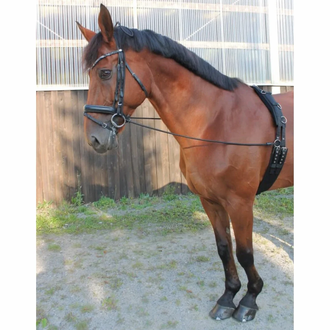 PFIFF 103118 Halsverlängerer, Hilfszügel zur Haltungskorrektur, elastisches Chambon, verlängerung des Halses, Verbesserung von Hals- und Genickbeschwerden, 3,4m, Schwarz, Full