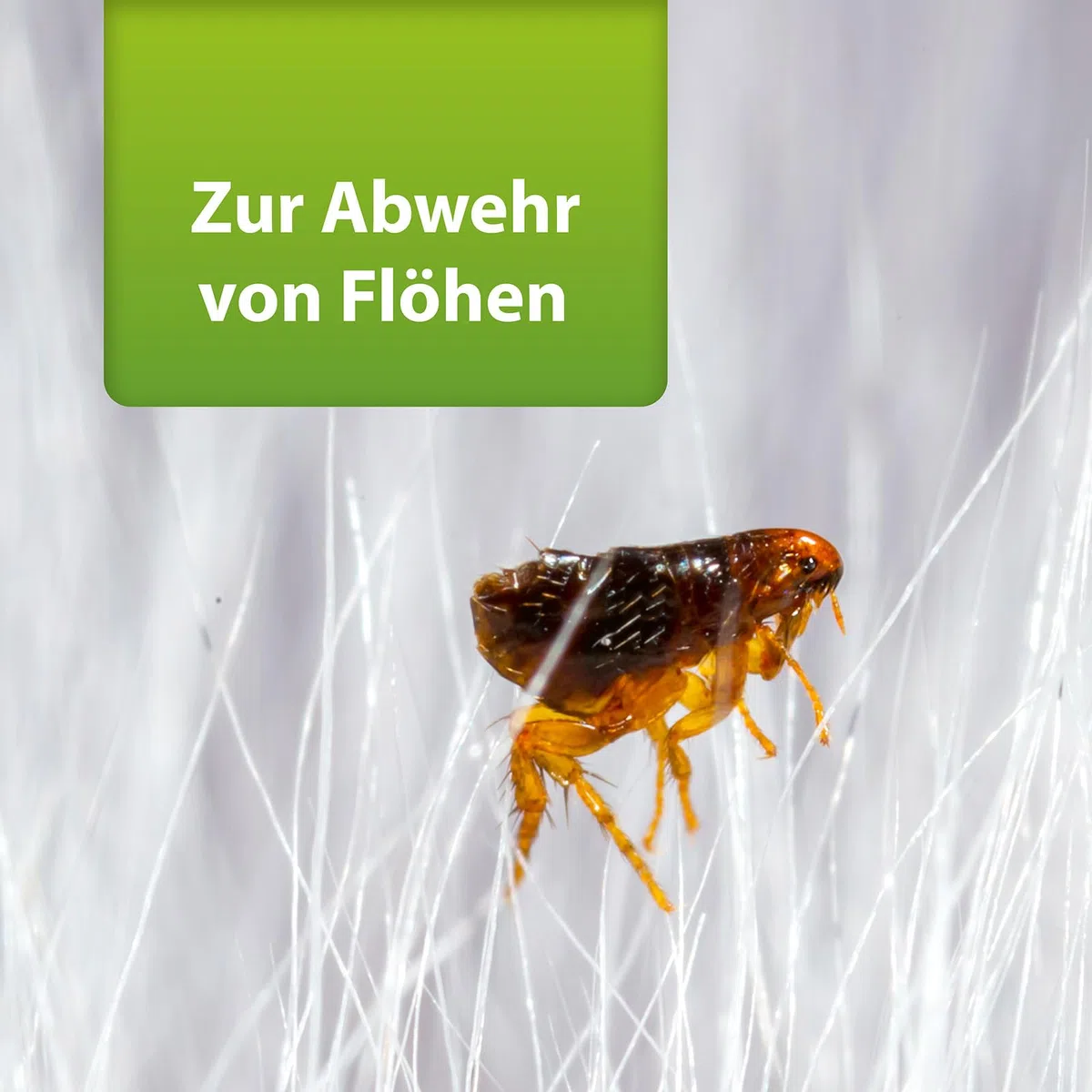 ARDAP Repell Flohspray für Wohnung und Möbel 750ml - Alternative zum ARDAP Fogger gegen Flöhe / Floh Fogger - Flohmittel für Wohnung - Umgebungsspray Flöhe - Wirkt schnell & effektiv (PT19)