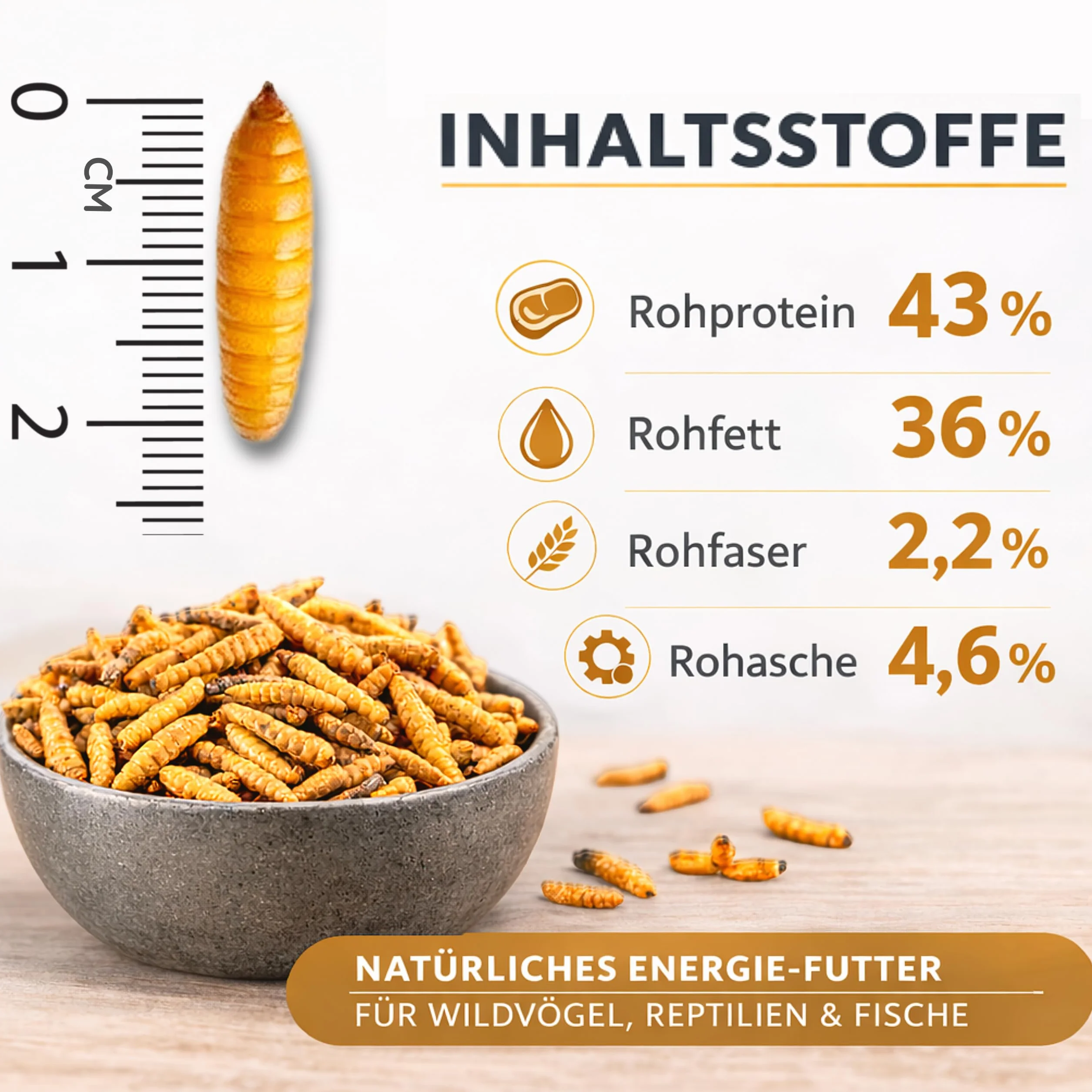 Soldatenfliegenlarven getrocknet 1kg (entspricht 13 Litern) PROTEINREICH | Ganzjähriger Insektensnack für Vögel, Fische, Schildkröten + Reptilien. MEERBACH & ROSE – Premium Qualität aus Deutschland