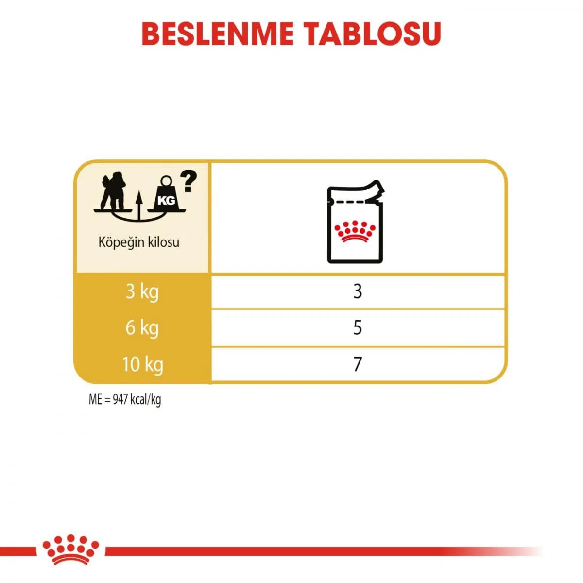 Royal Canin Poodle Adult | 12 x 85g | Nassfutter für Pudel Erwachsene & Senioren | ab 10 Monaten | Fellpflege | mit schmackhafter Konsistenz