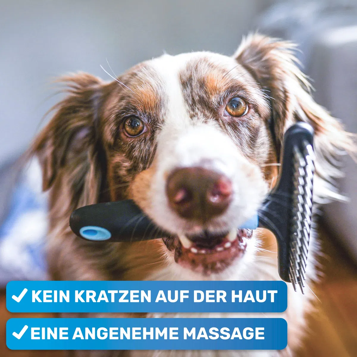 BluePet Fellentwirrer Entfilzer für Langhaar Hunde & Katzen I Hochwertiger Hundestriegel mit zwei Reihen Pins I Löst Knoten, Verfilzungen & Unterwolle I Unterwollrechen Glättet & Entwirrt langes Fell
