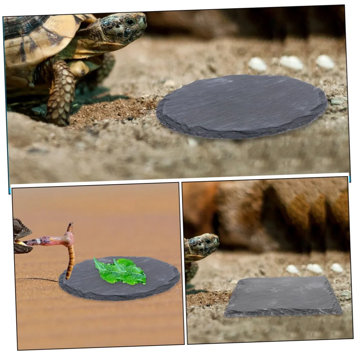 VANZACK 2 Stück Schildkrötenplattform Aus Stein Dekorative Sonnenplattform Für Schildkrötenbecken Langlebige Kletter Und Ruheplattform Für Reptilien Im Haushalt