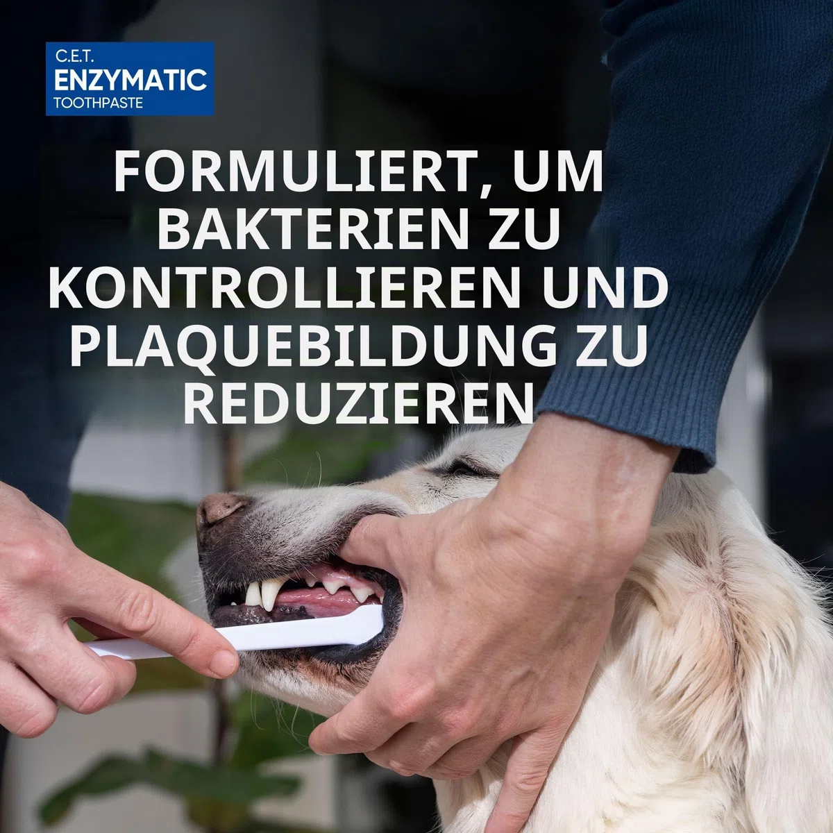 Virbac C.E.T. Enzymatic Zahnpasta 70.9 g