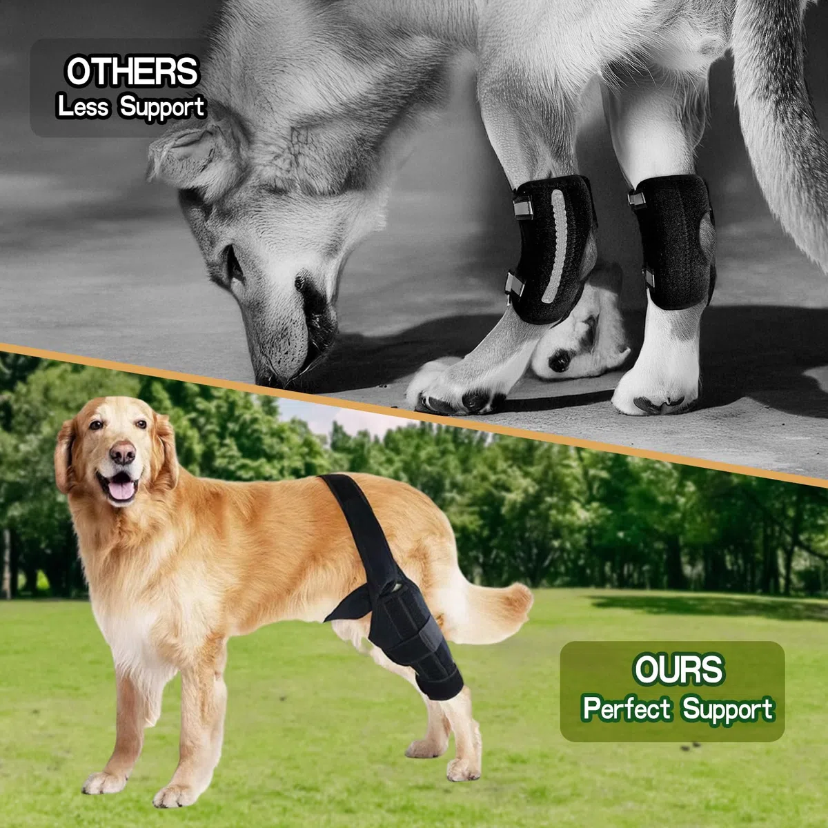 Knieorthese für Hunde bei gerissenem vorderen Kreuzband am Hinterbein, verstellbare Hüftstütze für Hunde bei Patellaluxation, Hundebeinorthese für Hinter- oder Vorderbein seitlichen Stabilisatoren (M)