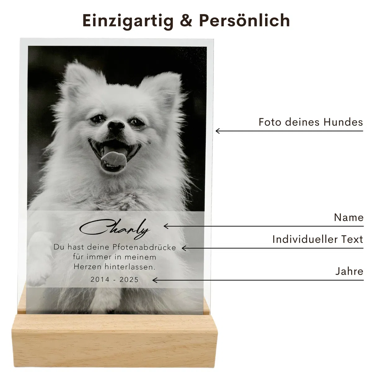 DEL MÀ Unique & Personal Andenken an verstorbenen Hund Bild Gedenktafel aus Acryl zur Erinnerung & Trauer personalisiert mit Foto Geschenk für Hundebesitzer inkl. Holzfuß 13x20 cm (Hochformat)