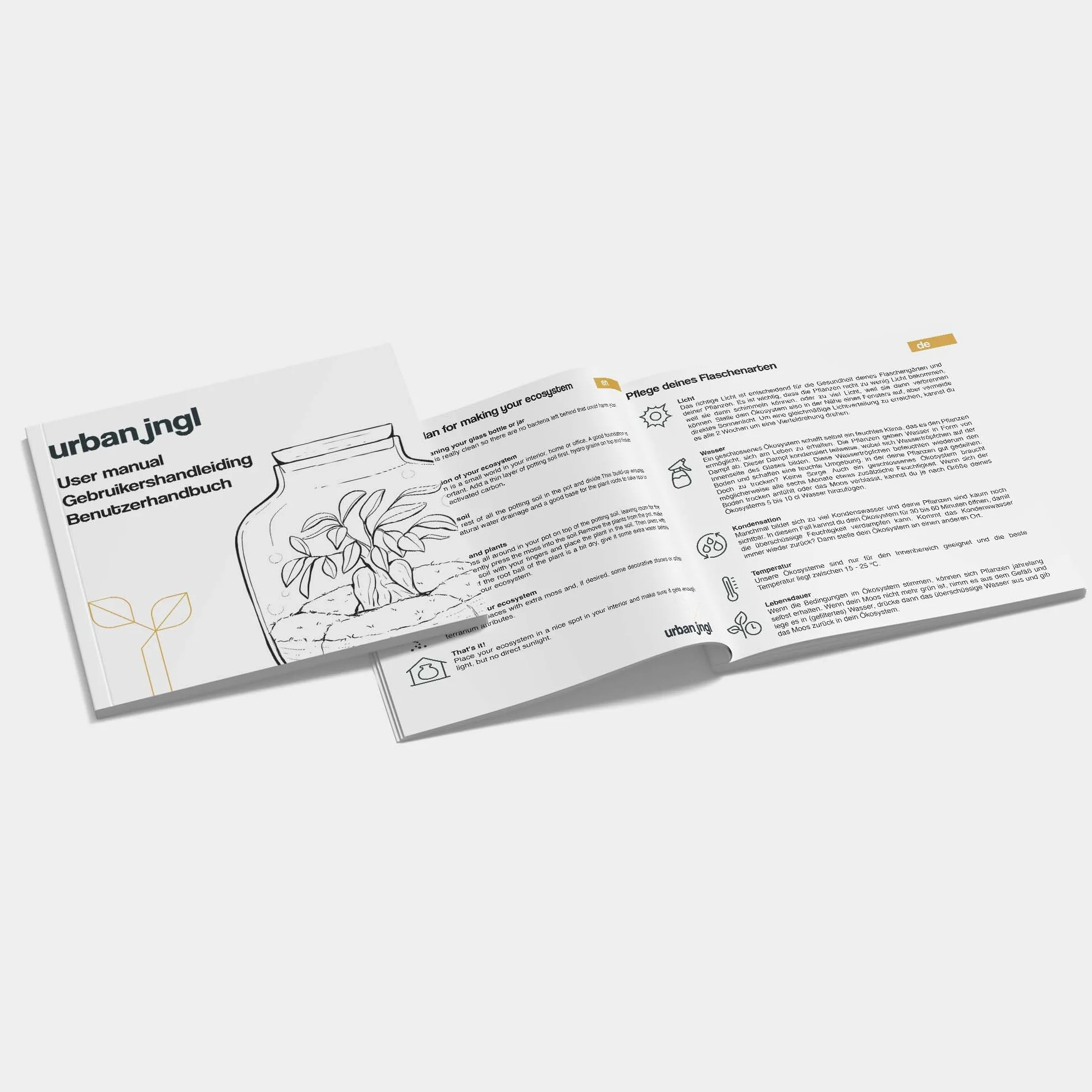 urbanjngl - Calathea Makoyana Terrarium Start- und Nachfüllpaket – 3 Terrarienpflanzen für DIY-Projekte – ideal für Anfänger und Pflanzenliebhaber
