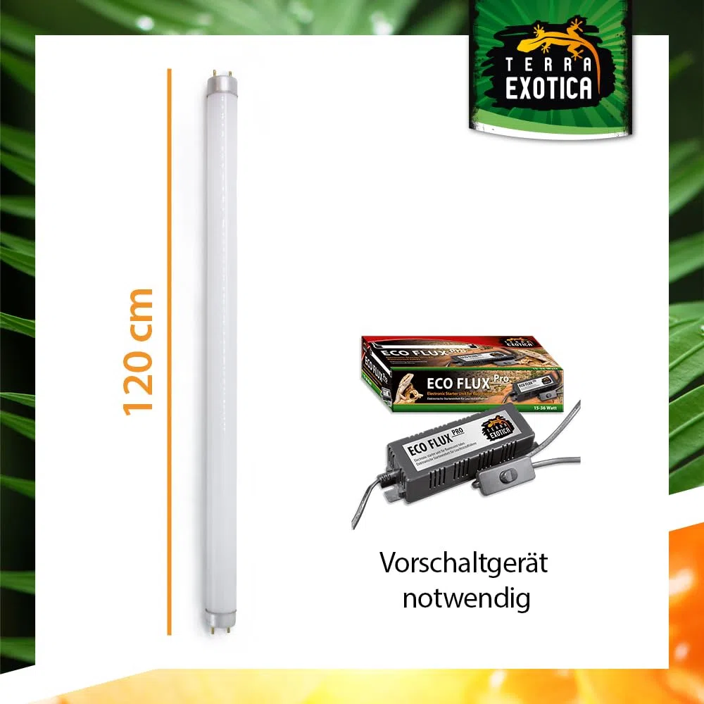 Terra Exotica Sunray UVB 6.0 - Leuchtstoffröhre mit erhöhter UV-B Abstrahlung (18, Watt)