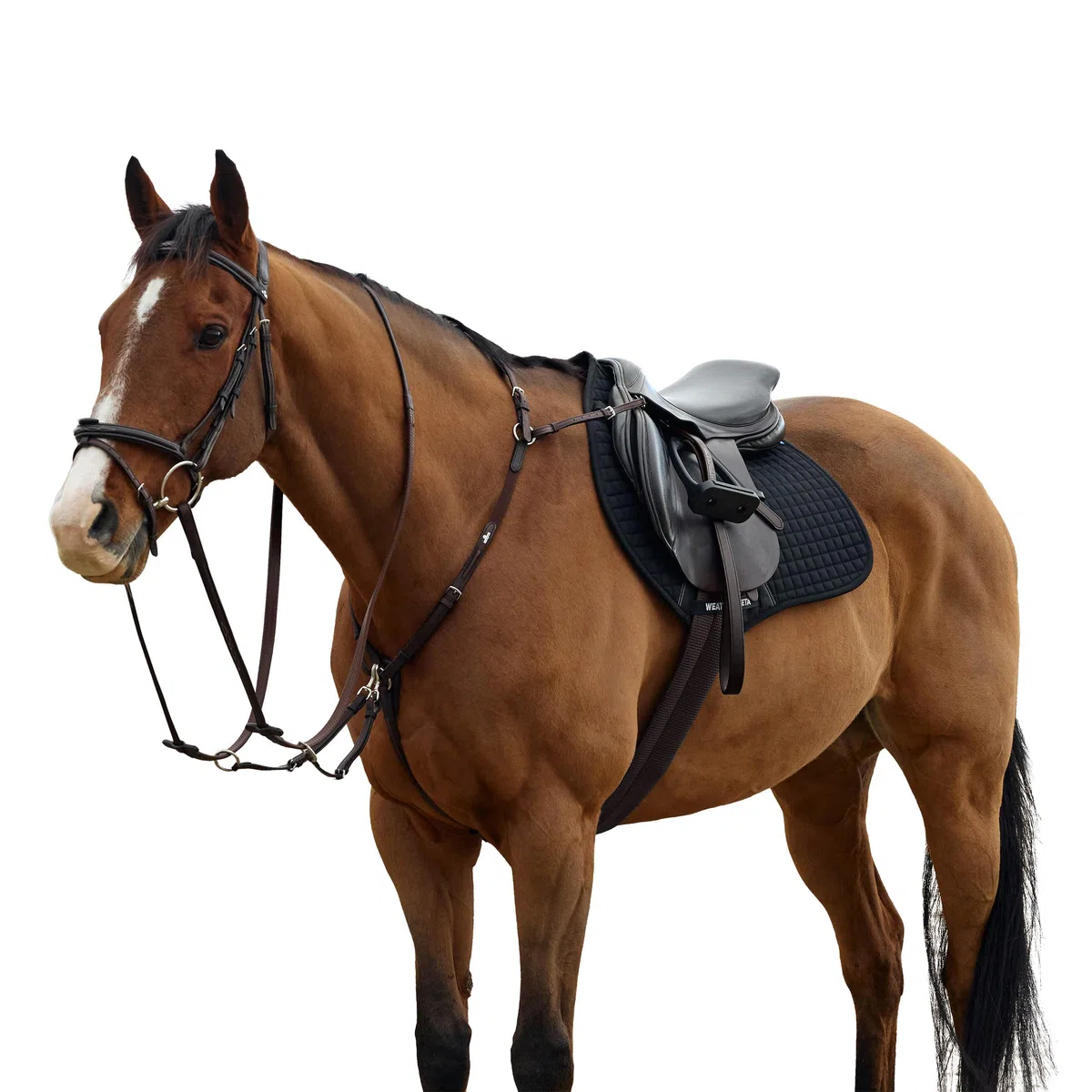Collegiate ComFiTec Opulux 3-Punkt-gepolsterte Brustplatte & Lauf-Martingale