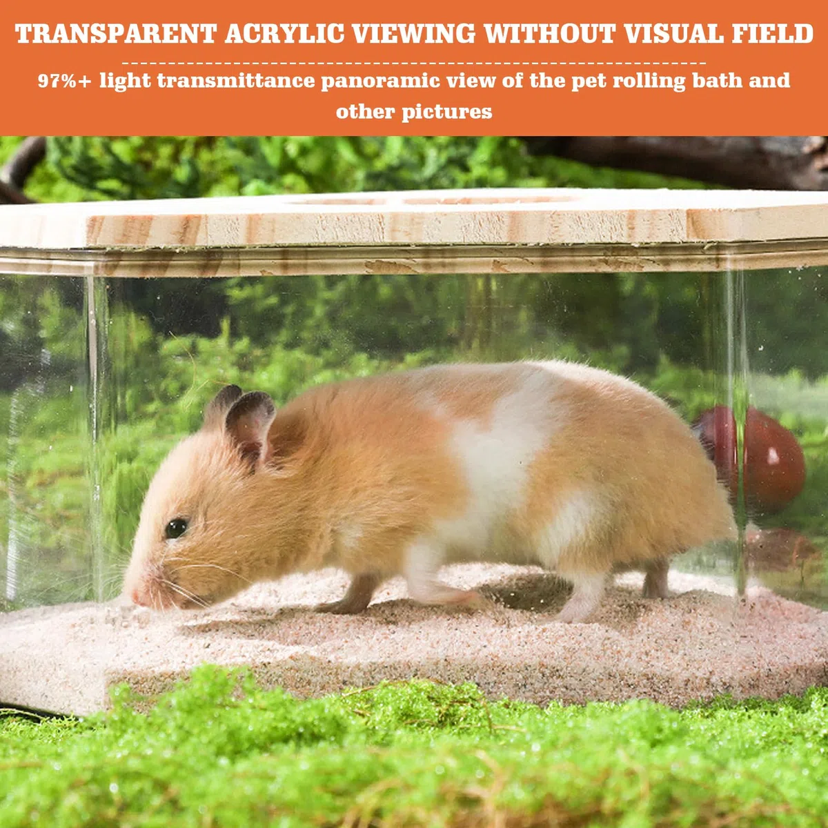 HOMURY 1 Stück Hamster Sandbad: Acryl Hamster Badebox, Hamster Zubehör mit Halbabdeckung aus Massivholz, Hamster Toilette für Chinchilla, Goldene Bären, Gerbil(Rechteckig,20x15x8cm)