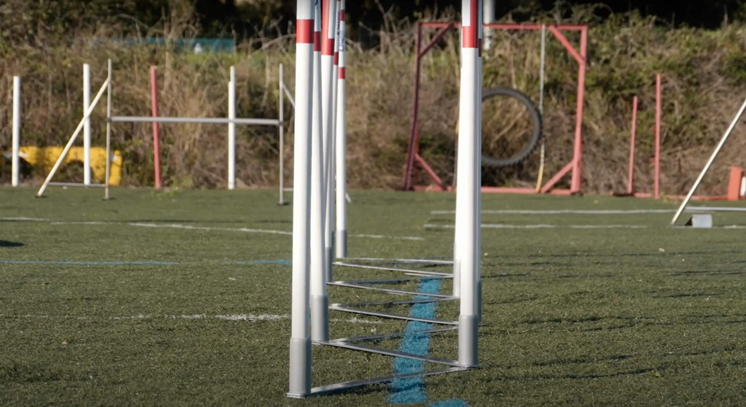 DOG Copenhagen Agility Run Slalom Trainingsgerät für Hunde