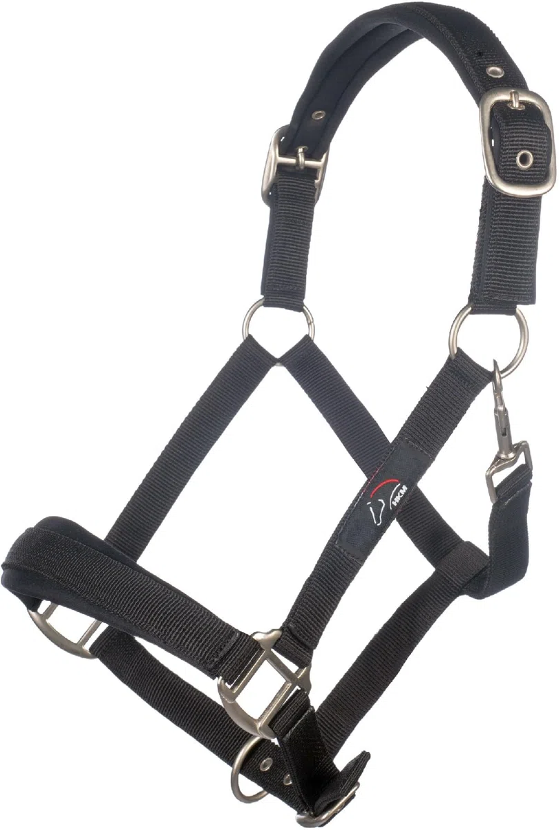 HKM Samantha Halfter, Bordeaux, Warmblut