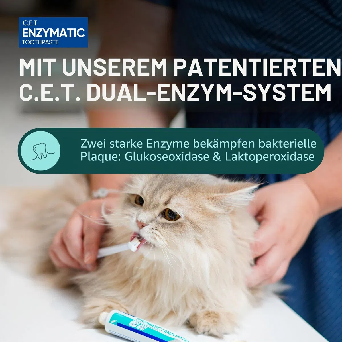 Virbac C.E.T. Enzymatic Zahnpasta 70.9 g