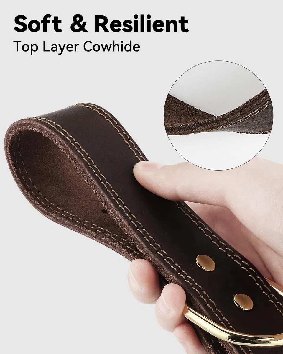 Joytale Hundehalsband Leder, Halsband aus Leder für Große Hunde, Weiches Echtleder Hundehalsband Langlebig und Verstellbar, Braun, L