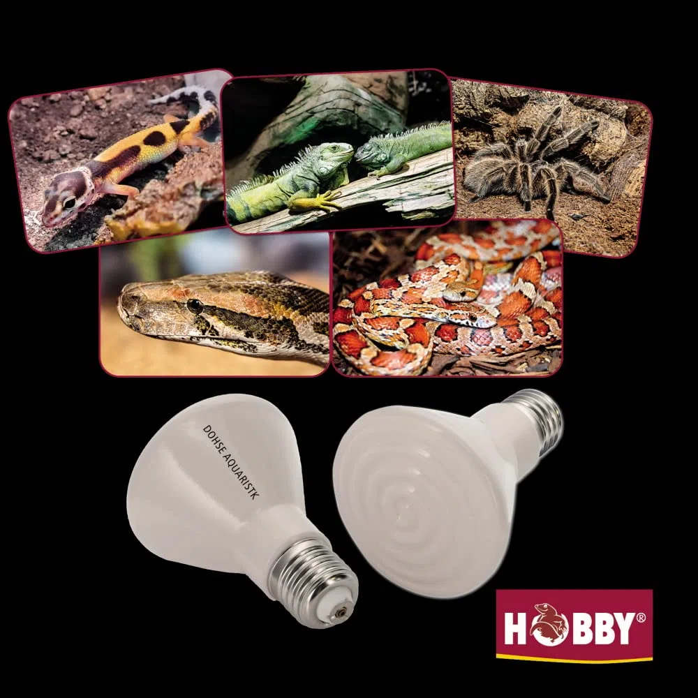 Hobby 37080 Elstein Wärmestrahler IOT / 75, 60 W, Weiß, 1 Stück (1er Pack)