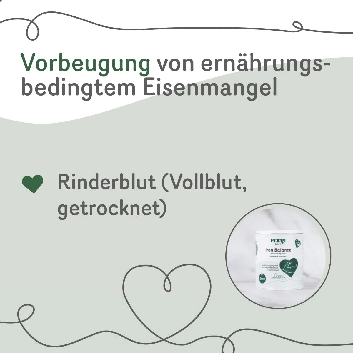GRAU - Iron Balance, 1er Pack (1 x 600g), Ergänzungsfuttermittel für Hunde und Katzen