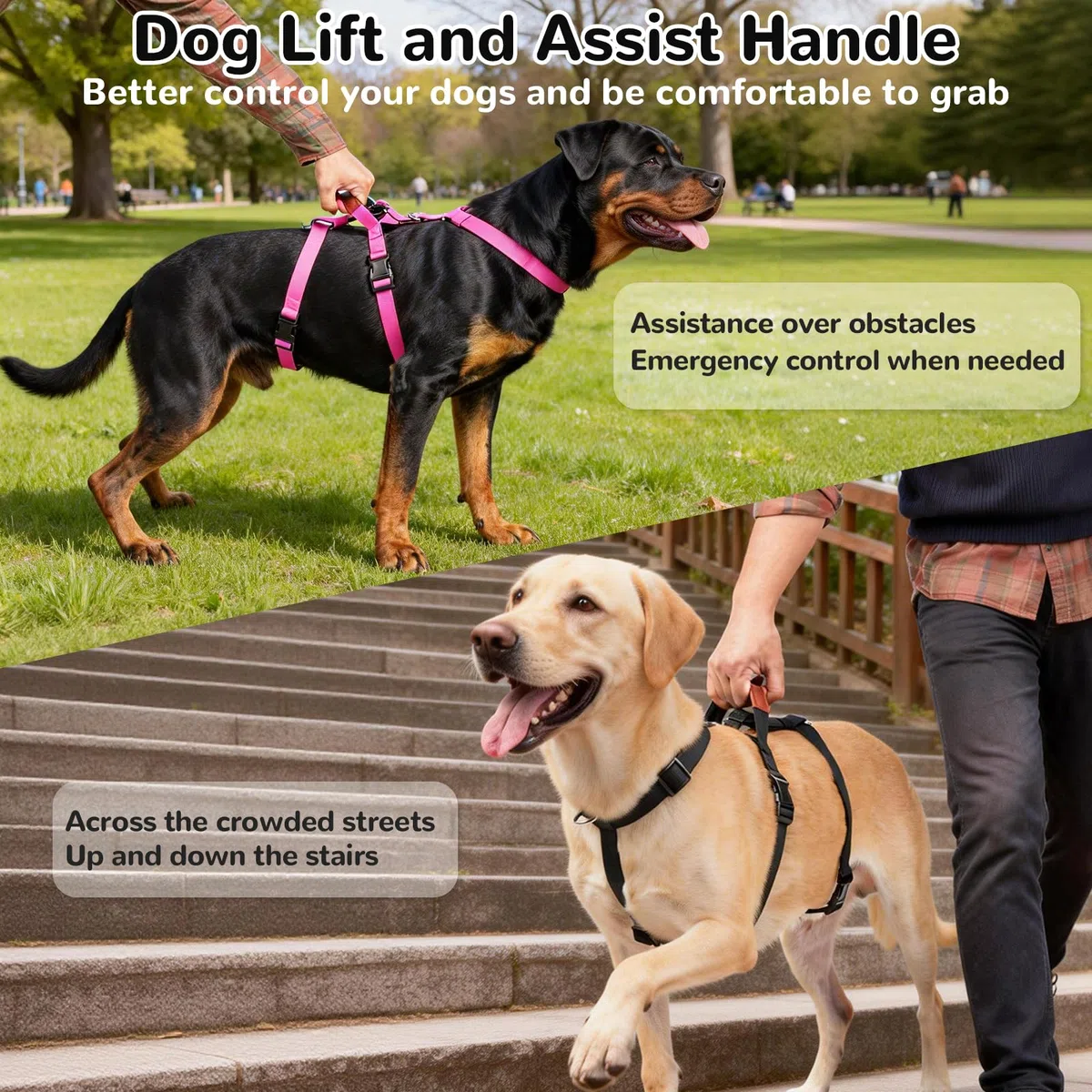 Hundegeschirr Ausbruchsicher, Anti Zug Sicherheitsgeschirr Hund, Verstellbare Brustgeschirr mit Gepolstertem Griff, Atmungsaktiv Weste für Mittelgroße und Große Hunde, Dog Harness (Schwarz, M)