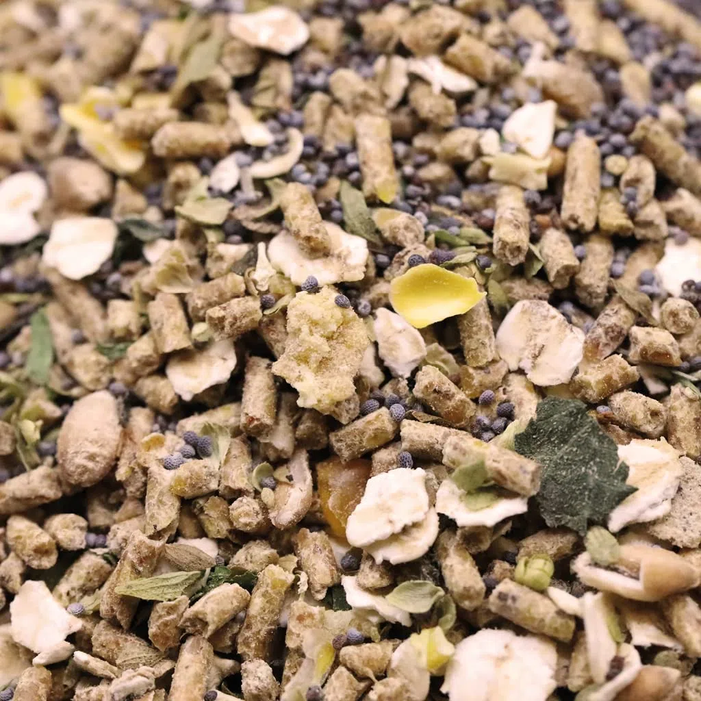 hühnergold Hühner Küken Premium 2,5kg – Kükenfutter ab Tag 1 | Mit Kräutern, Leinsaat & Blaumohn – Kükenfutter ab Tag 1 für Wachstum, Darmgesundheit & natürliche Aufzucht