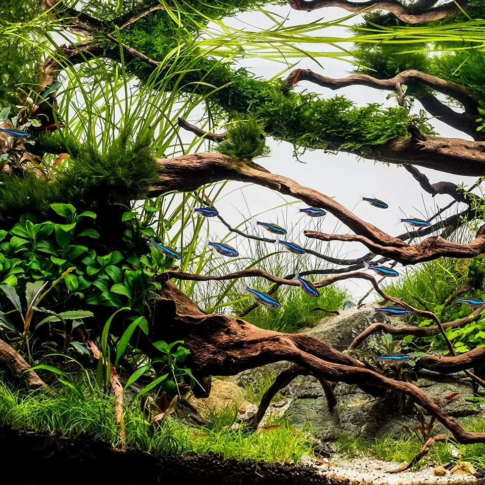 AquaOne Aquarium Schlauch 16/22 mm 3 Meter I Hochwertiger Aquariumschlauch Innendurchmesser 16mm I Flexibel Wasserschlauch I Pumpenschlauch für Reinigung Wasserwechsel in Aquarien