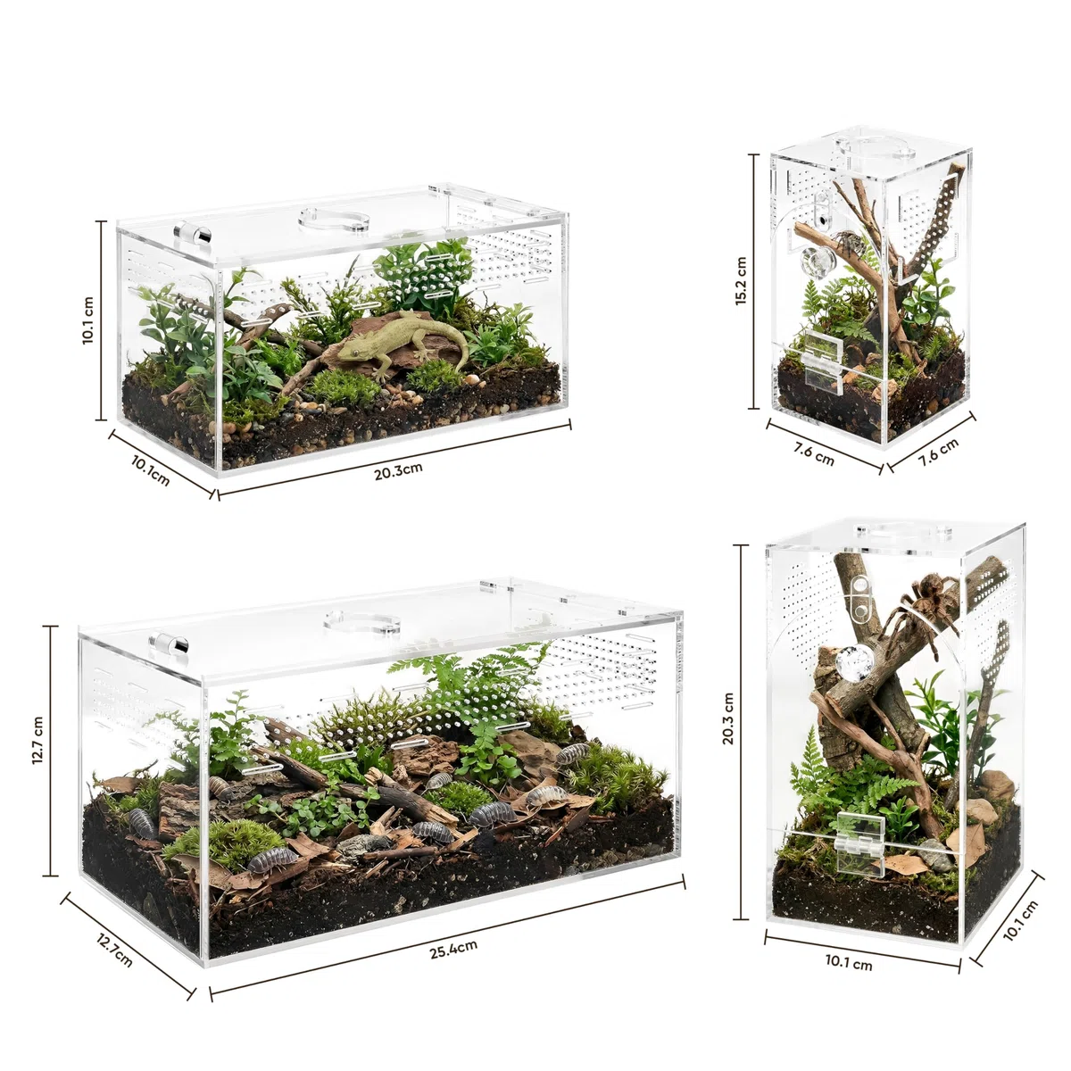 Springspinnen-Acryl-Terrarium, 360° Transparente Futterkasse, Allzweckbehälter für Sprungspinnen, Vogelspinnen, Schnecken und Insekten, ohne Montage, Set 2, L (25.4x12.7x12.7cm)