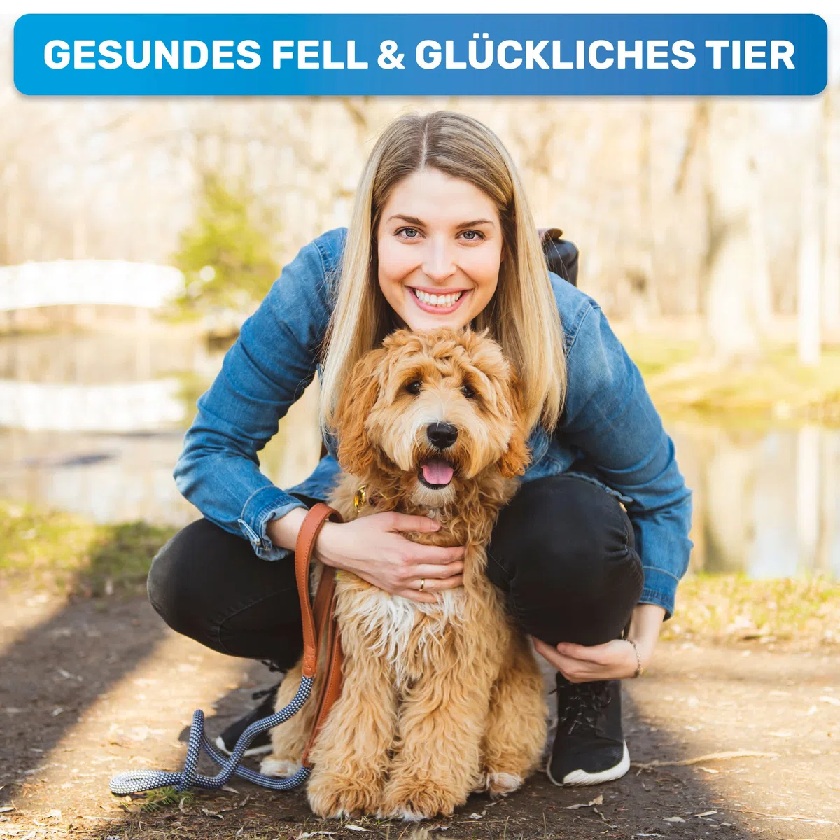 BluePet Fellentwirrer Entfilzer für Langhaar Hunde & Katzen I Hochwertiger Hundestriegel mit zwei Reihen Pins I Löst Knoten, Verfilzungen & Unterwolle I Unterwollrechen Glättet & Entwirrt langes Fell