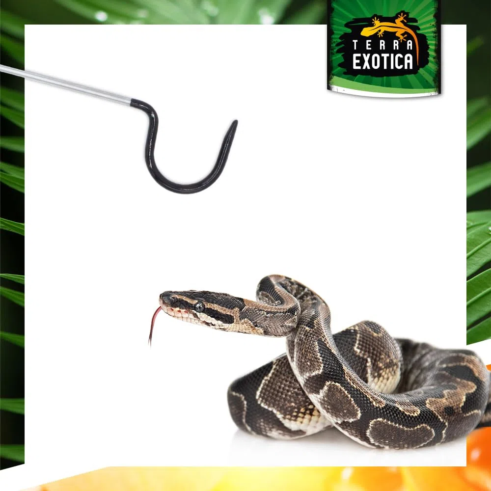Terra Exotica Schlangenhaken aus Edelstahl gummiert – Snake Hook für Reptilien Handling – Feste Längen 50/70/96/105 cm & Teleskop 15–65/45–102 cm (50 cm)