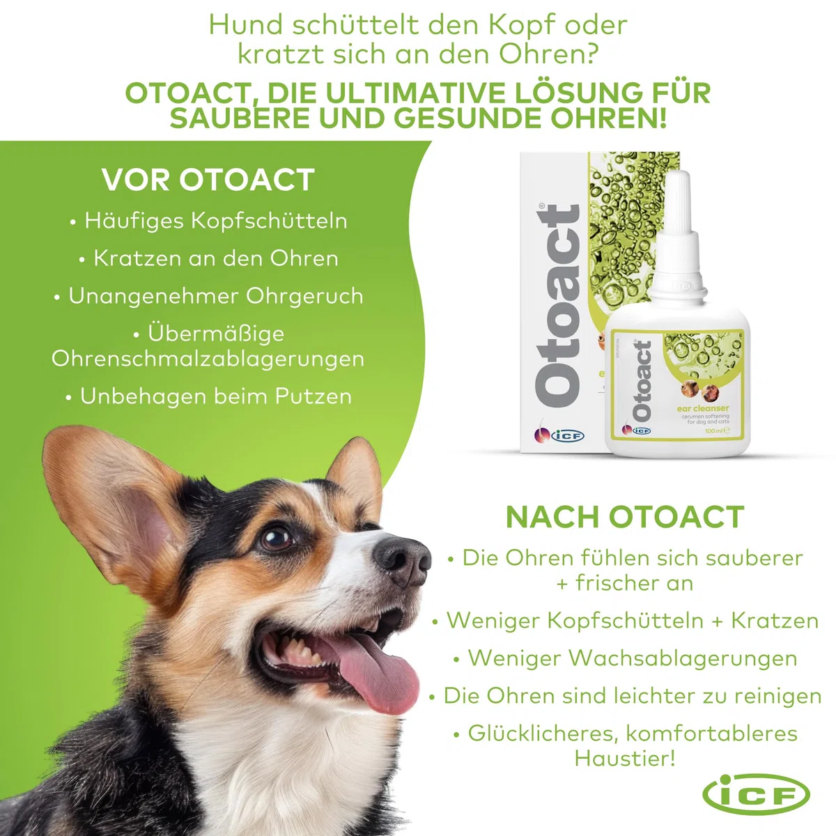 Otoact Ohrenreiniger für Hunde & Katzen | Sanfte Ohrreinigungslösung | Entfernt Ohrenschmalz & Unterstützt die Ohrenhygiene | Einfache Anwendung & Nicht reizend | 100ml