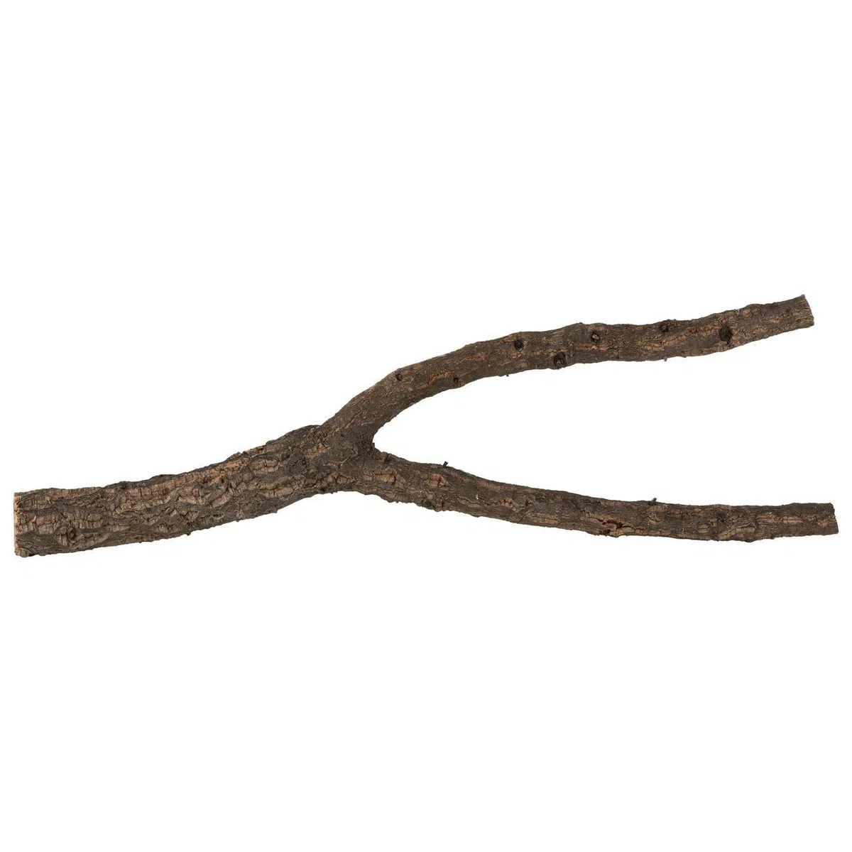 Korkast (50cm Länge) mit Gabelung von der Korkeiche | Naturkork-Rinde als Terrariumausstattung | aus nachhaltiger Ernte bei der Baumpflege | wärmdesinfiziert | Made in Portugal