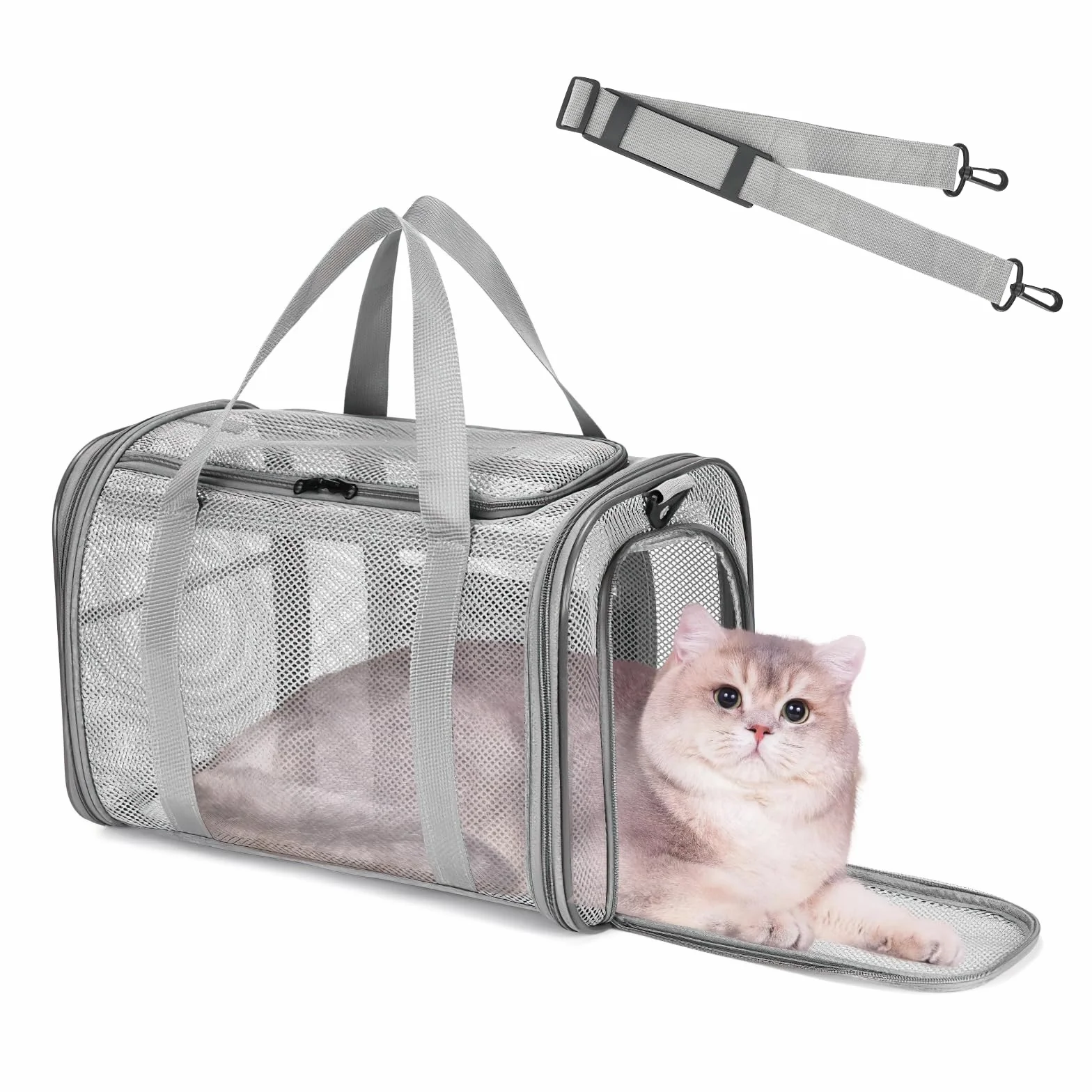 Katzentragetasche, Transporttasche für Katze Hund, Hundetransportbox Hundebox Faltbar, Katzentransportbox mit Tasche & Griffen, Transportbox für Kleine Hund Katze, Zug, Reisen(42x26x29cm)