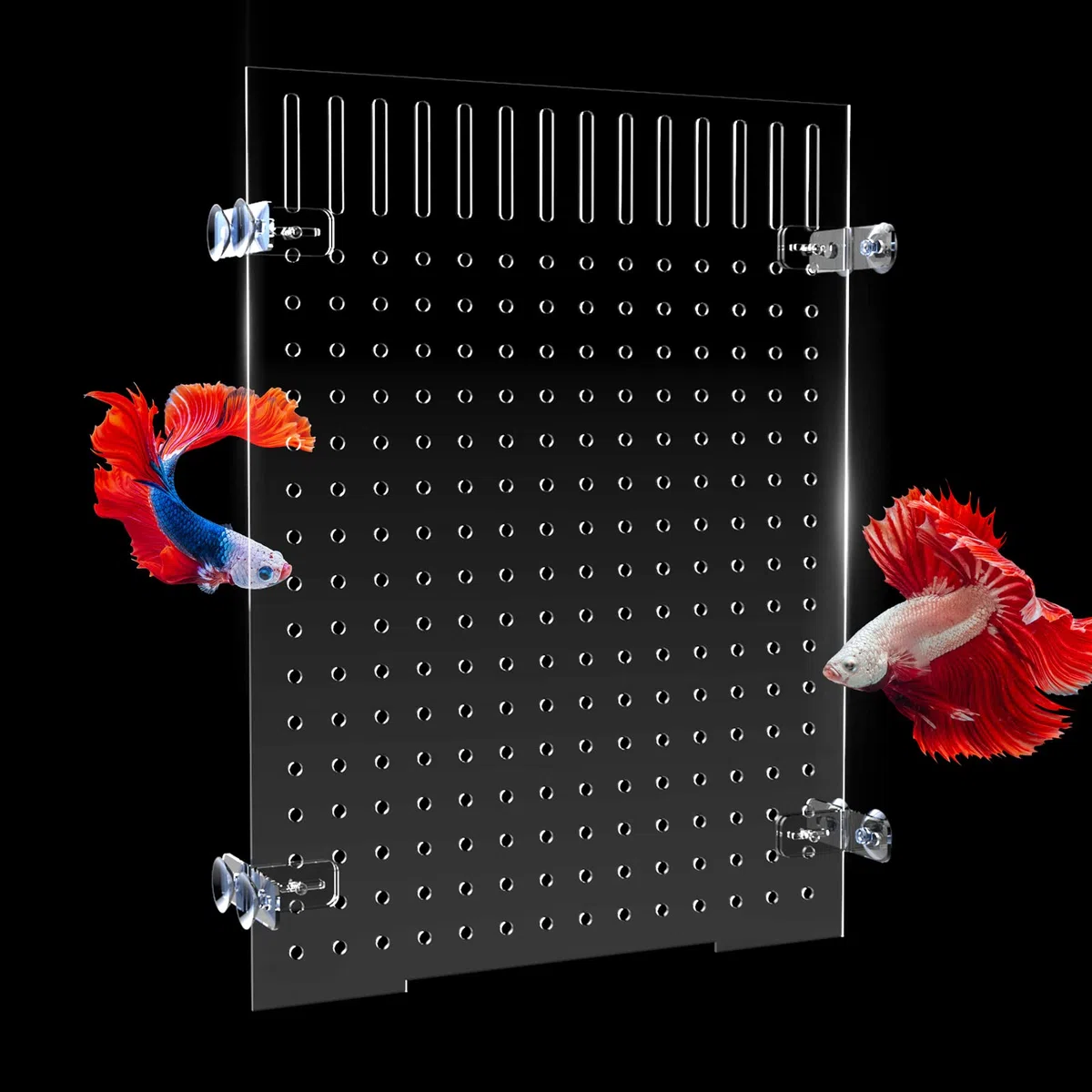 Cuyacili Aquarium Trennwand für Mischzucht Fisch Tank Teiler Acryl Aquarium Teiler Kit mit 8 Saugnäpfen Zubehör Fischseparator Transparente Platte Aquarienabscheider Isolation Board 30 * 40 cm
