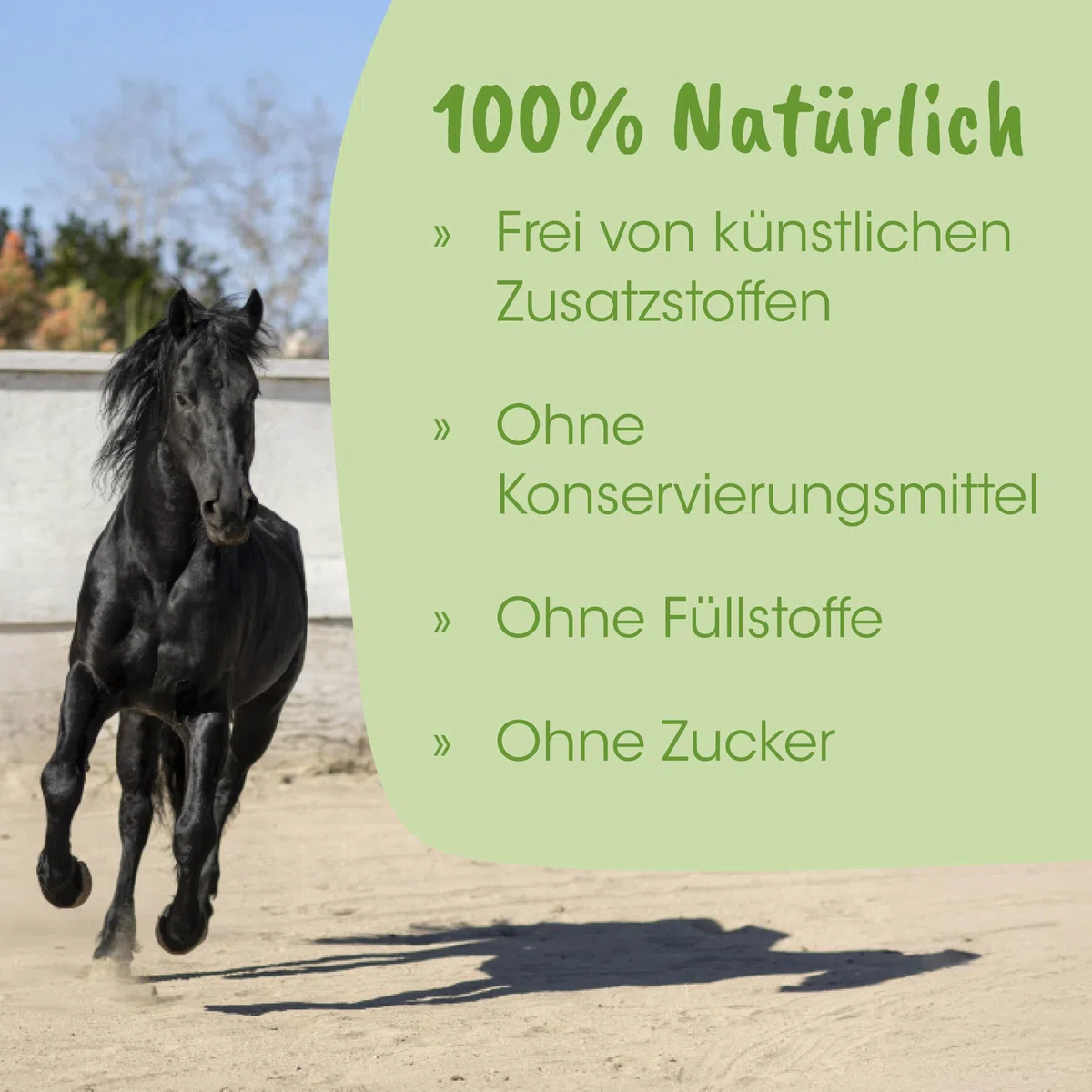 ArthroGreen Herbal 10 kg | Natürlich gesunde Gelenke für Pferde