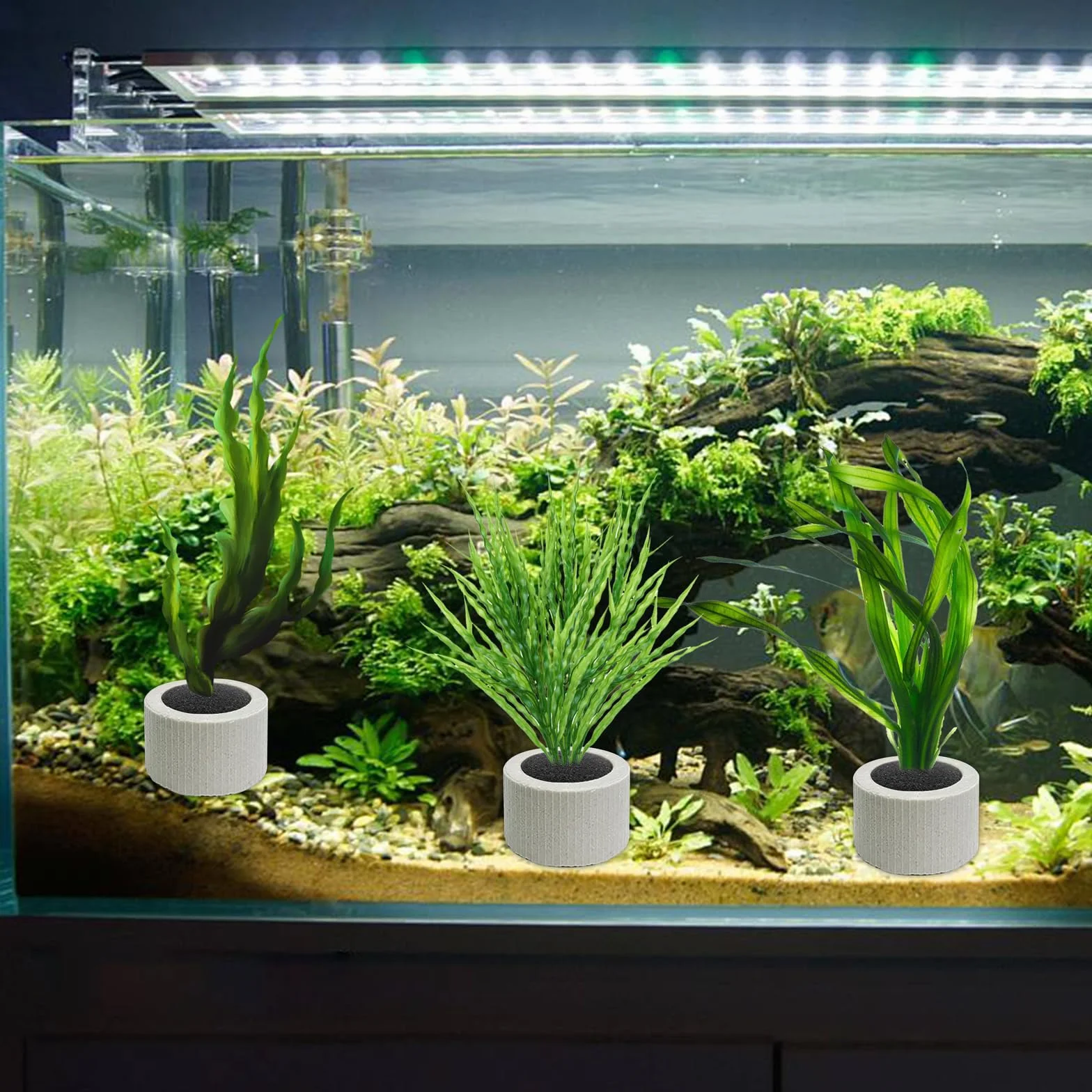 12 Stück Pflanzengewichte Aquarium Ring Wasserpflanzen Pflanzenanker Gewichte Fixierer Keramikringe mit Pflanzbaumwolle Pflanzen Schwerkraft Ring