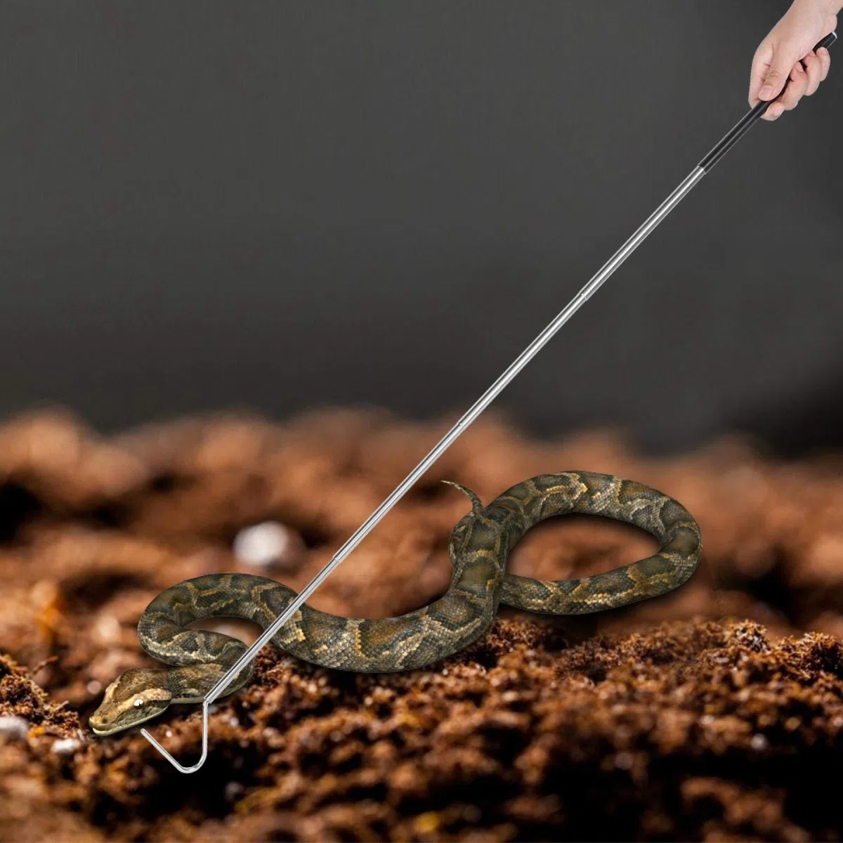 Teleskop-Schlangenfänger aus Edelstahl, ausziehbarer Reptilienhaken 1m, Höckercatch-Tool für sicher Umgang Terrarien und Garten
