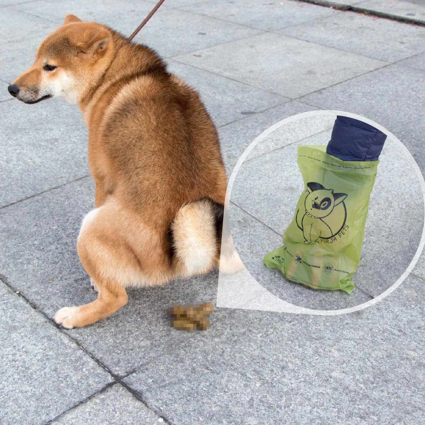 Hundekotbeutel biologisch abbaubare kotbeutel für hunde, 360 Stück, auslaufsicher,extra groß,dick und stark